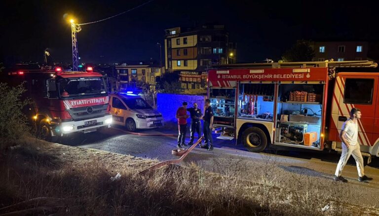 istanbulda-orman-yangini-alevler-3-bin-metrekareye-yayildi-B3TCImAw.jpg