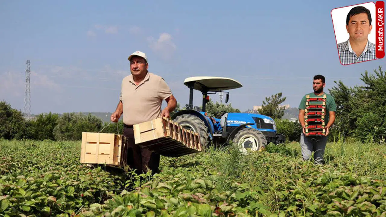 zirai don ile tarim destekleri yetersiz kaldi dag fare dogurdu 4IltJhNq