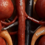 atlas-featured-17572-1775821514-zfQnEi