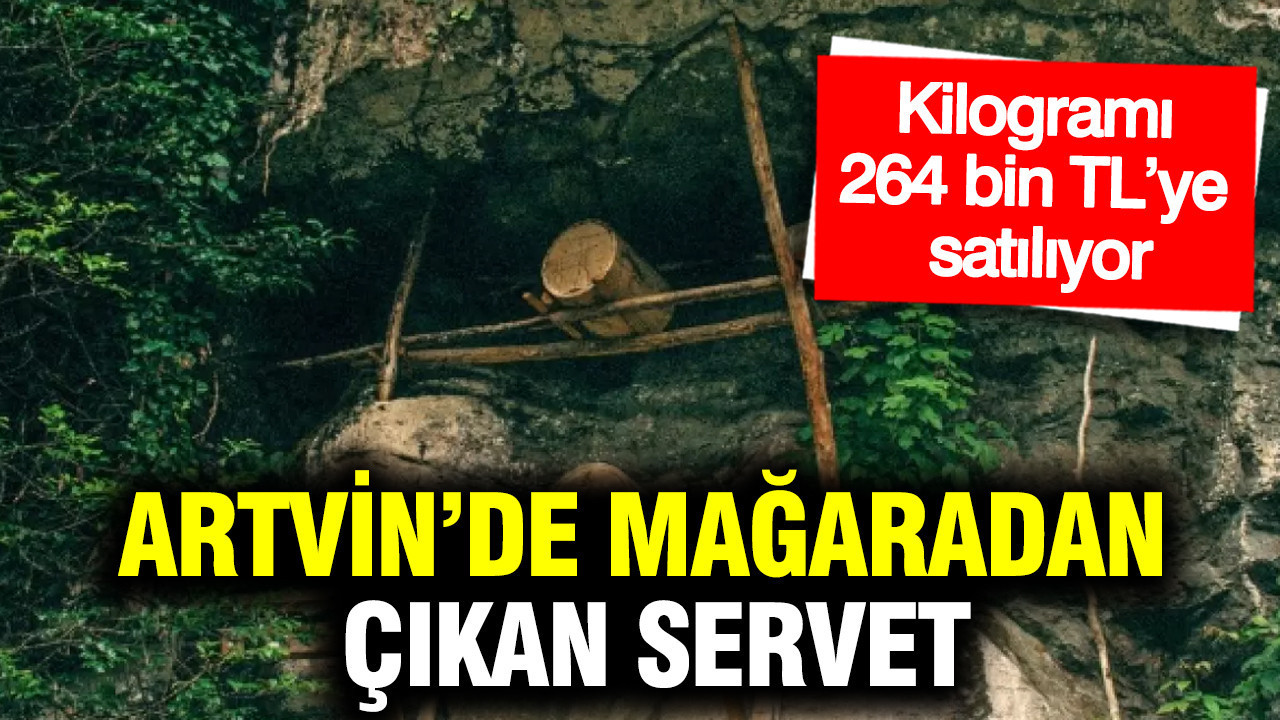 artvinde-magaradan-cikan-servet-kilogrami-264-bin-tlye-satiliyor-ibLPbIRA