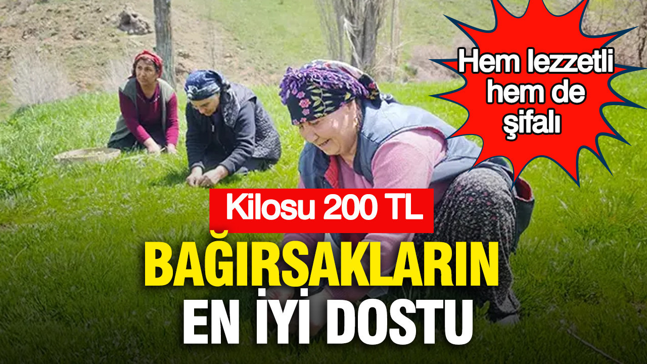 hem-lezzetli-hem-de-sifali-bagirsaklarin-en-iyi-dostu-kilosu-200-tl-RVtJKQpL
