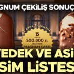 Magnum cekilis sonuclari 2026 asil ve yedek kazanan isim listesi sorgulama ekrani magnum LMESfhtr